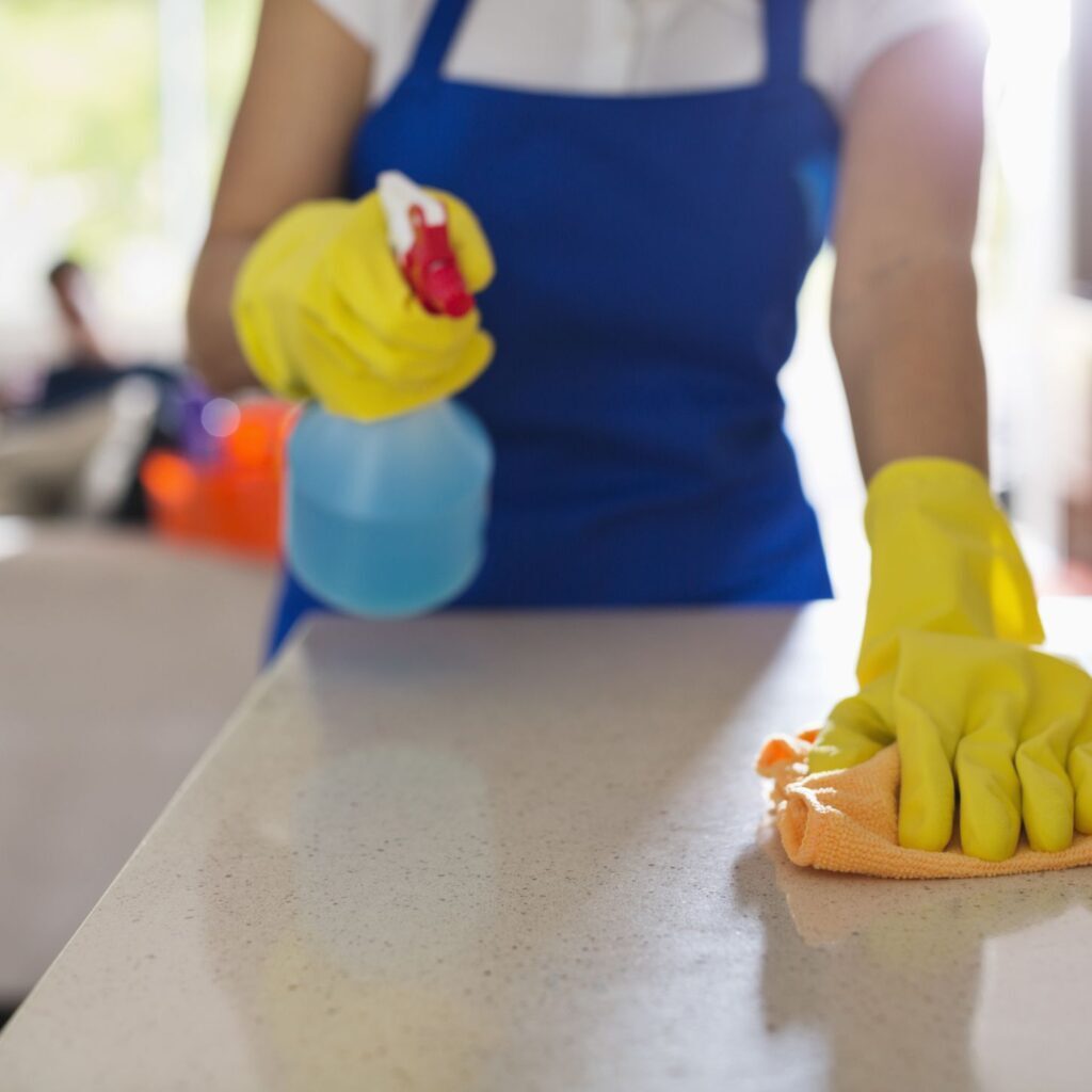Professional Cleaning Services